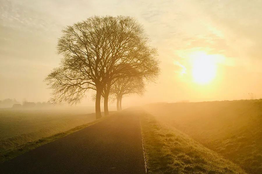 ご遺骨を加工し身につけることは法律違反にあたらない?